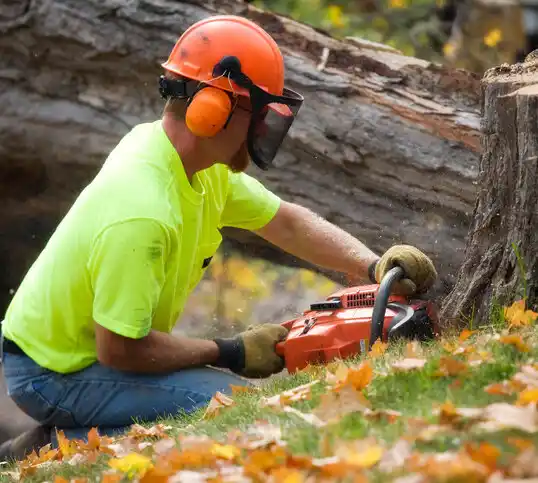 tree services Catawba